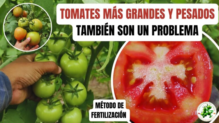 Guía para Comprar Productos de Compostaje en Alcorcón