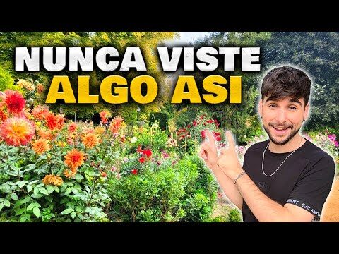 Jardines Bot&aacute;nicos en Moraleja de Enmedio: Gu&iacute;a de Ubicaci&oacute;n