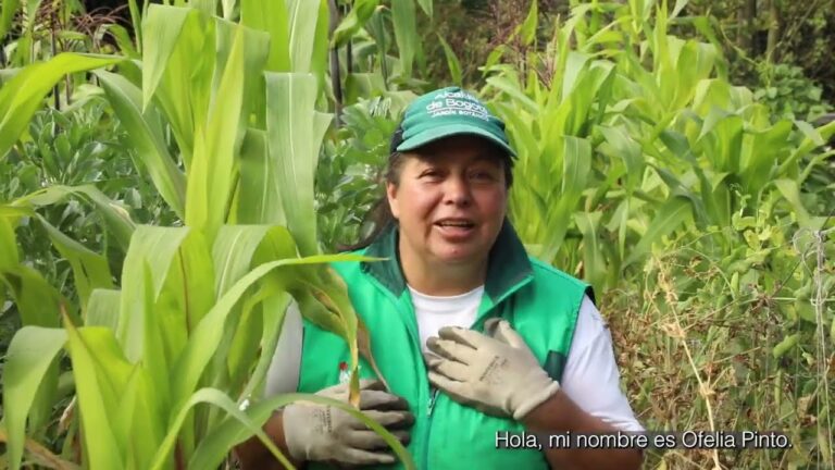 Asociaciones de Jardinería en Pinto: Dónde Localizarlas