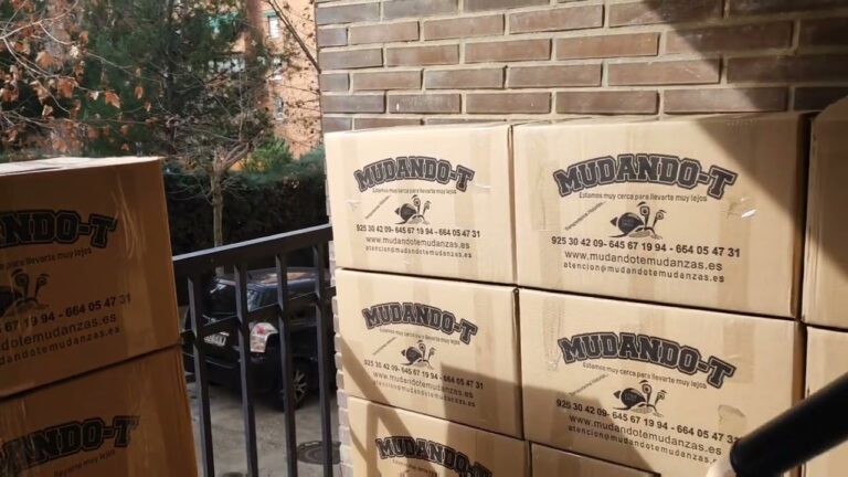 Empresas de Mudanzas en Parla: Gu&iacute;a Completa