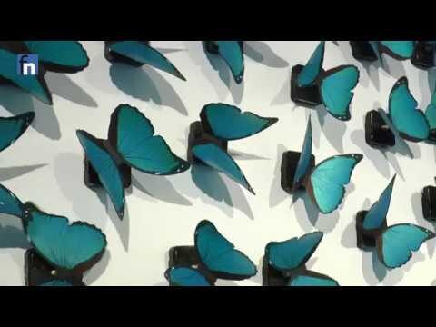 Galerías de arte en Fuenlabrada: Un recorrido cultural